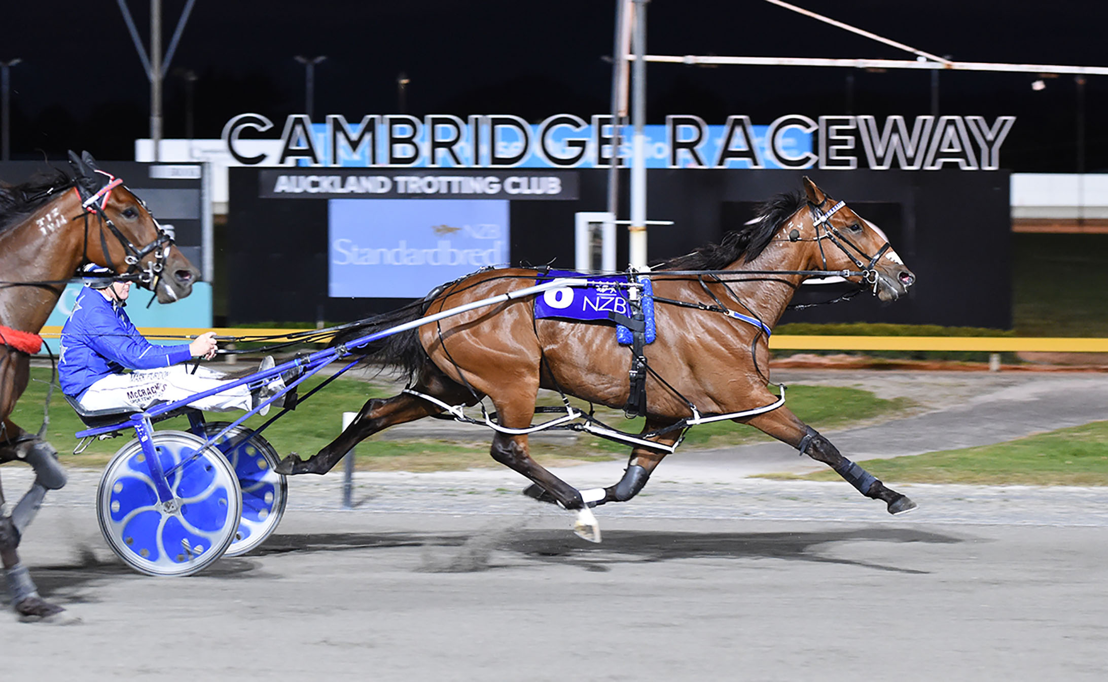 Millwood Nike (NZ) winning